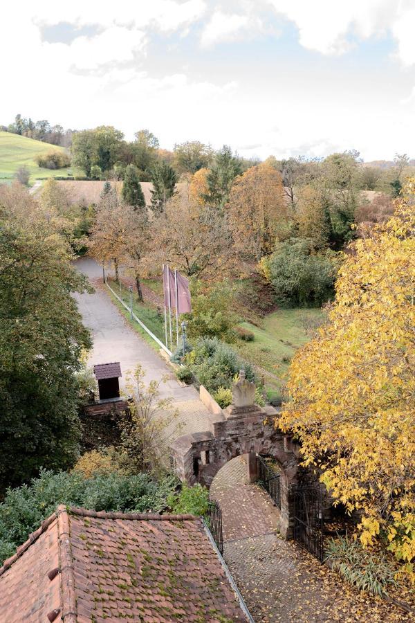 Eventlocation & Hotel Schloss Neuburg Obrigheim ภายนอก รูปภาพ