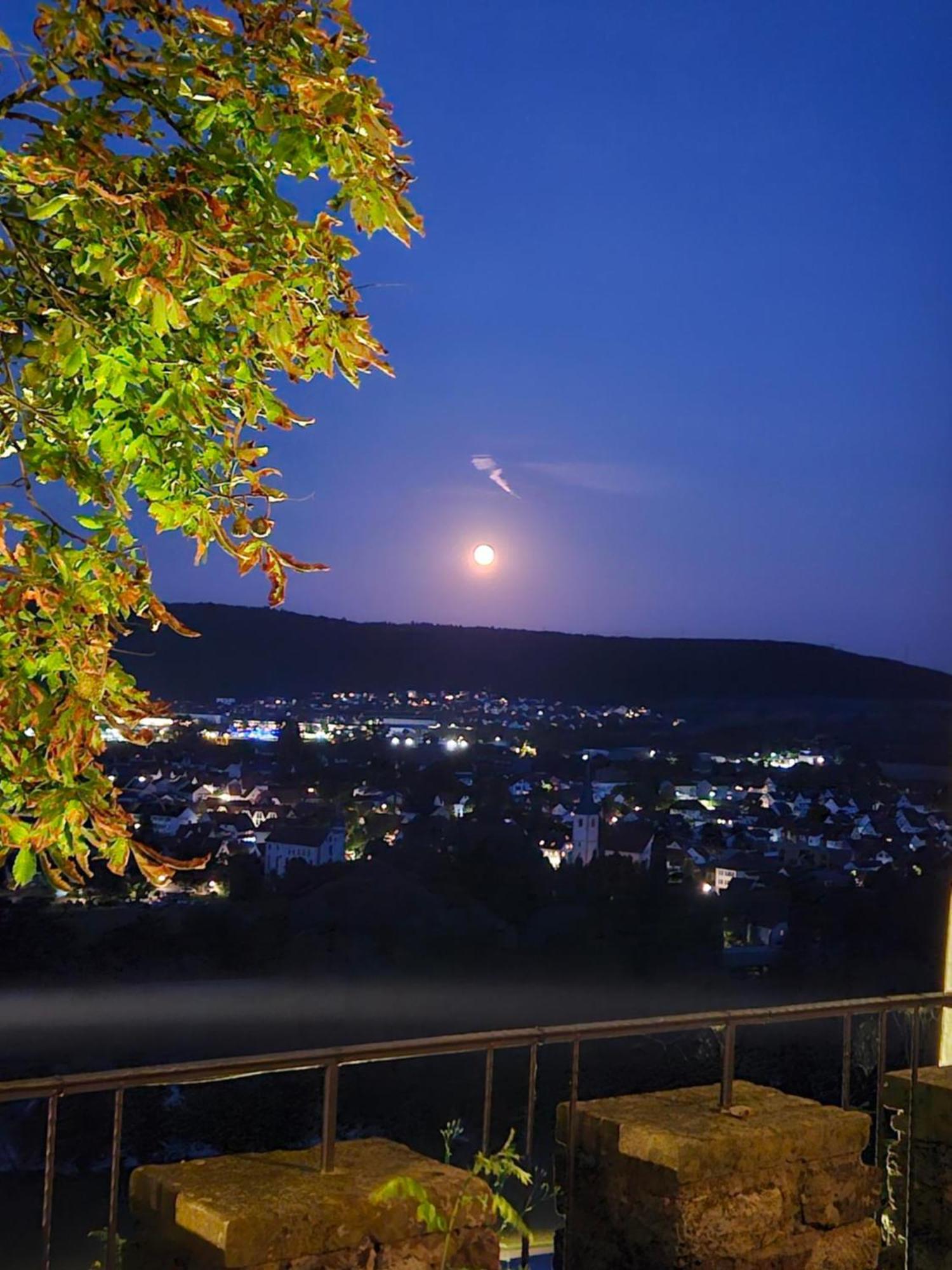 Eventlocation & Hotel Schloss Neuburg Obrigheim ภายนอก รูปภาพ